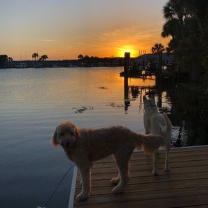 Meet Your Posher, Keri